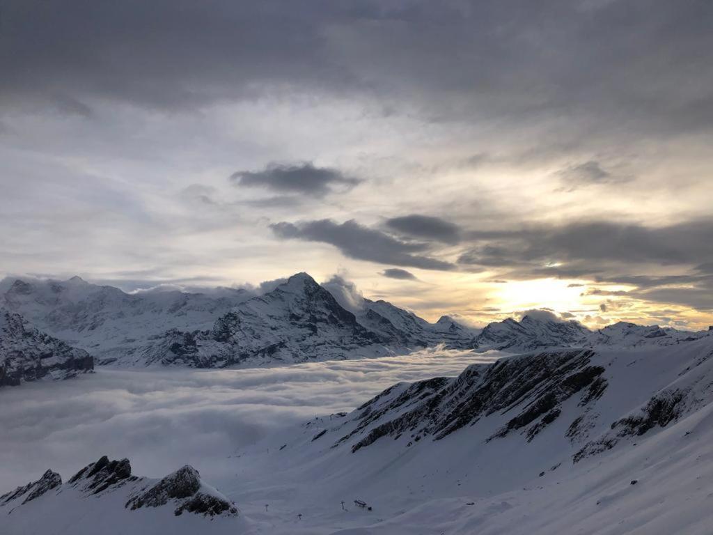 Chalet Caramelle Grindelwald Eksteriør bilde
