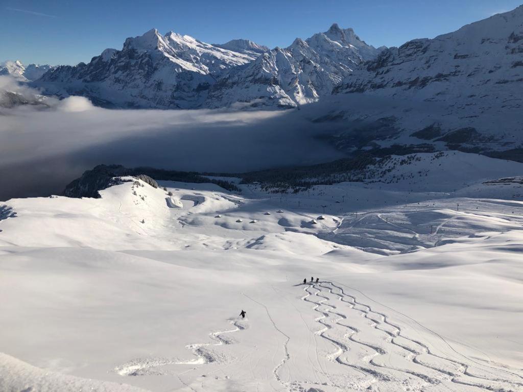 Chalet Caramelle Grindelwald Eksteriør bilde