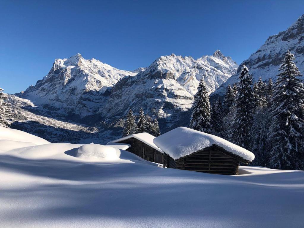 Chalet Caramelle Grindelwald Eksteriør bilde