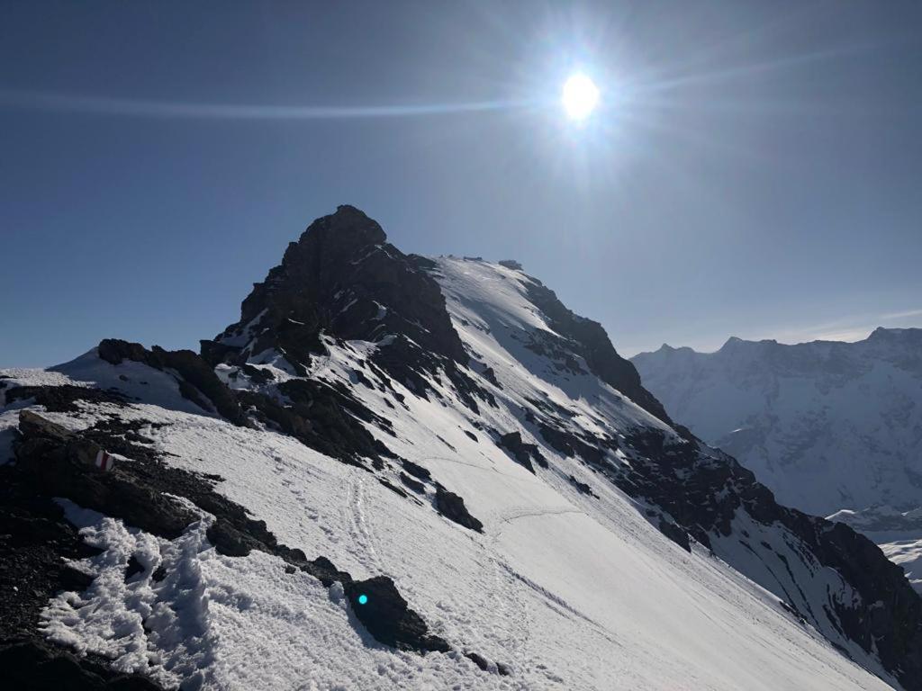 Chalet Caramelle Grindelwald Eksteriør bilde