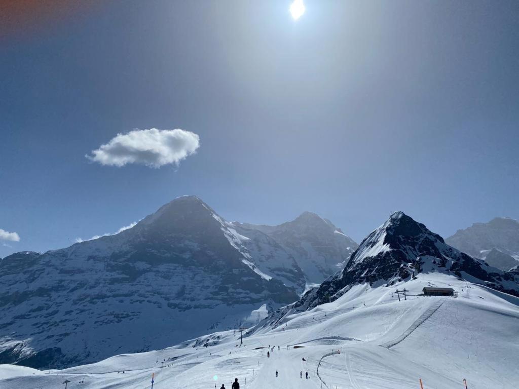 Chalet Caramelle Grindelwald Eksteriør bilde